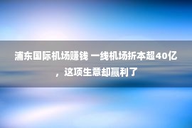 浦东国际机场赚钱 一线机场折本超40亿，这项生意却赢利了