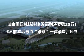 浦东国际机场赚钱 没赢利还要赔20万！3人偷渡后被当“跟班”一律销售，回到上海如释重负